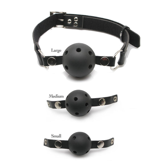 Fetish Fantasy Series Ball Gag Training System