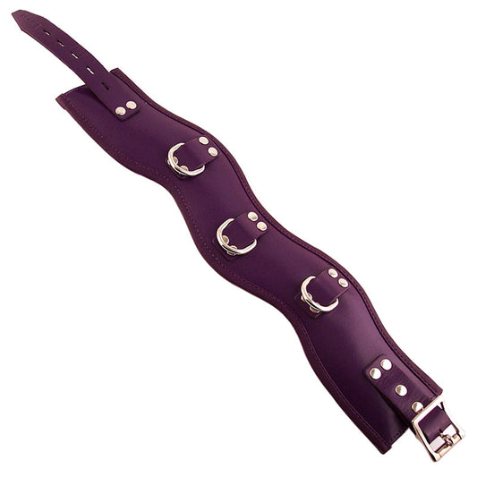 Rouge Garments Purple Padded Posture Collar