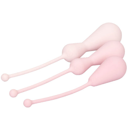 Inspire Weighted Silicone Kegel Training Kit