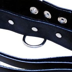 SportSheets Leather Leash And Collar